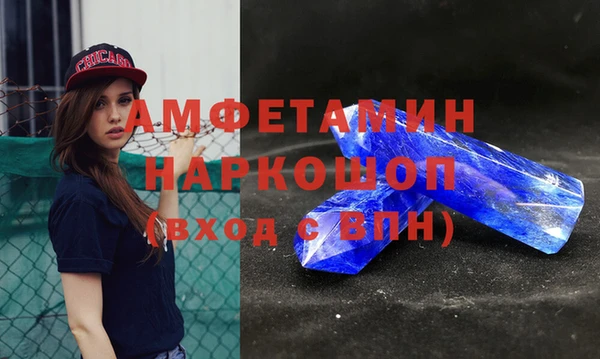 стаф Богданович